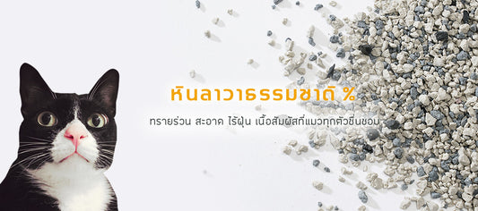 ทรายแมว ไต้หวัน ซัน วันเดอร์ Sun Wonder หินลาวา 1 ถุง / 5 ลิตร (4 กก.)