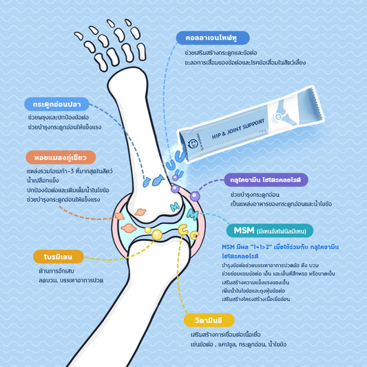 Sun Wonder Hip & Joint Support สำหรับข้อต่อสัตว์เลี้ยง ทานได้ทั้งสุนัขและแมว – จัดส่งแบบสมาชิก