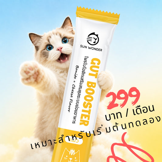 SUN WONDER โพรไบโอติกเสริมสมดุลระบบย่อยอาหาร สำหรับแมว – จัดส่งแบบสมาชิก