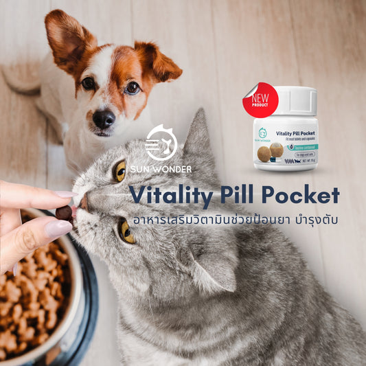 Sun Wonder Vitality Pill Pocket อาหารเสริมวิตามินช่วยป้อนยา บำรุงตับ