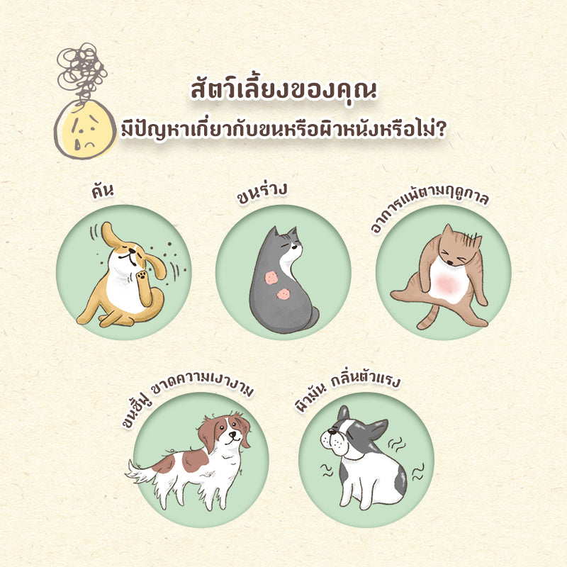 Sun Wonder Furry Booster ผงอาหารเสริมบำรุงขนและผิวหนังสำหรับสัตว์เลี้ยง (1 กล่อง /12 ซอง)