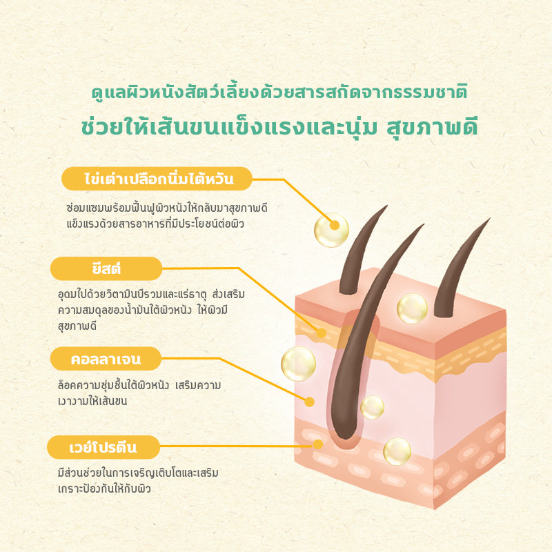 Sun Wonder Furry Booster ผงอาหารเสริมบำรุงขนและผิวหนังสำหรับสัตว์เลี้ยง 1 กล่อง (12 ซอง)