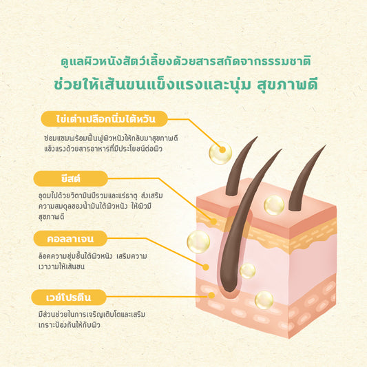 Sun Wonder Furry Booster ผงอาหารเสริมบำรุงขนและผิวหนังสำหรับสัตว์เลี้ยง – จัดส่งแบบสมาชิก