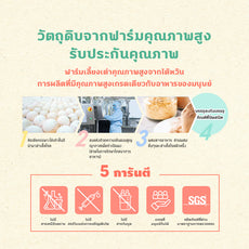 Sun Wonder Furry Booster ผงอาหารเสริมบำรุงขนและผิวหนังสำหรับสัตว์เลี้ยง (1 กล่อง /12 ซอง)