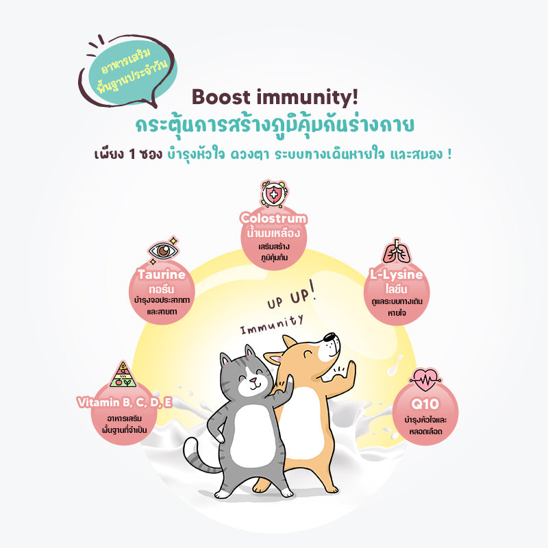 Sun Wonder Immunity Support อาหารเสริมกระตุ้นภูมิคุ้มกัน – จัดส่งแบบสมาชิก