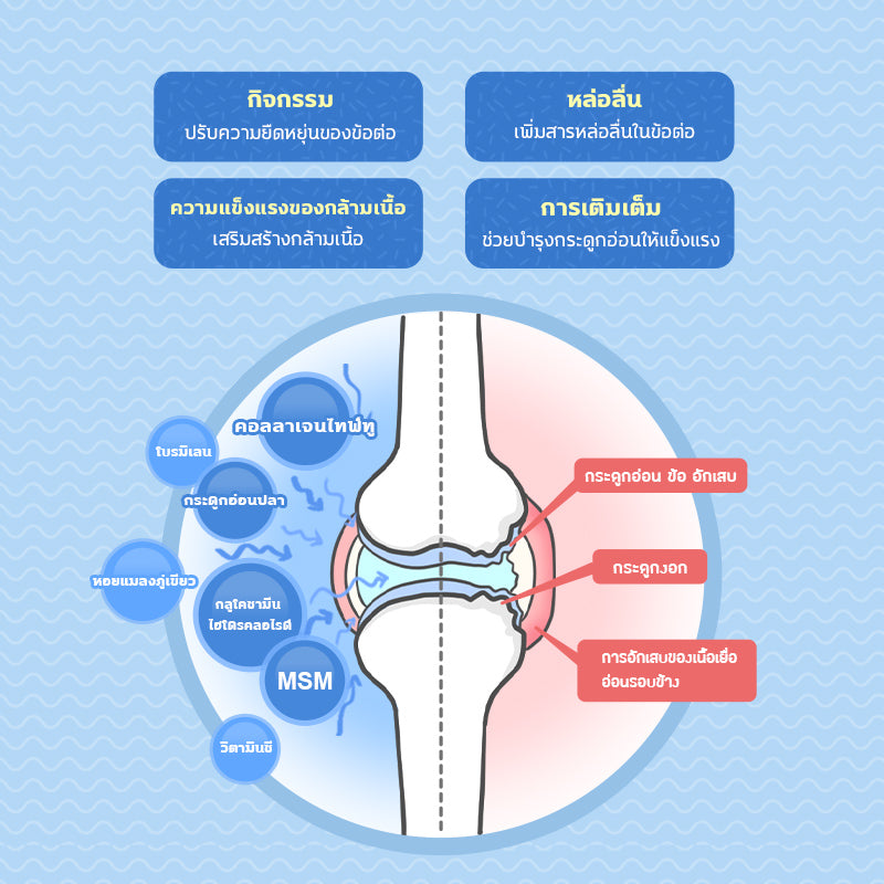 Sun Wonder Hip & Joint Support สำหรับข้อต่อสัตว์เลี้ยง  ทานได้ทั้งสุนัขและแมว – จัดส่งแบบสมาชิก