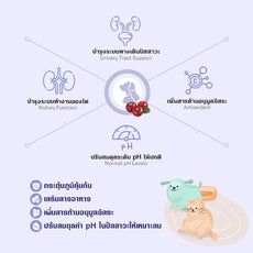 Sun Wonder Immunity & Nutrition Support (1 box/12 sachets)