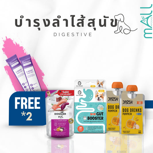 ชุดรักทุกวันขั้นพื้นฐาน｜กินดี ขับถ่ายดี หลับสบาย(สุนัข)