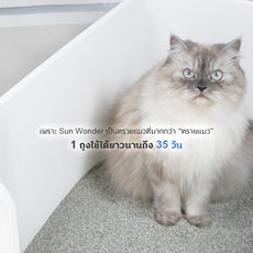 Pre order-ทรายแมว ไต้หวัน Sun Wonder SUPER MiXUP หินลาวา สูตรปลอดกลิ่นไร้ฝุ่น 1 ถุง / 5 ลิตร (4 กก.)