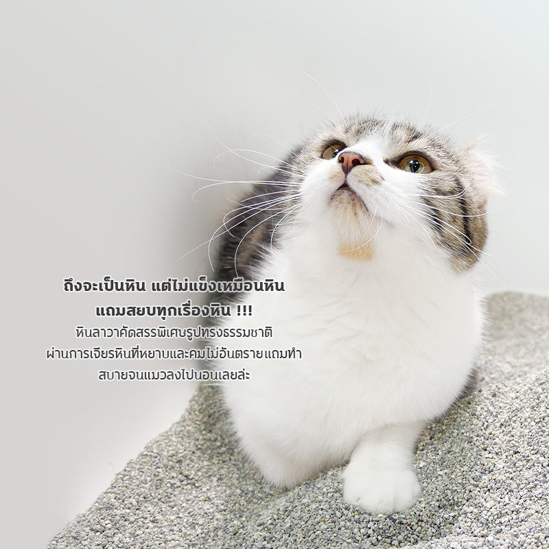 Pre order-ทรายแมว ไต้หวัน Sun Wonder SUPER MiXUP หินลาวา สูตรปลอดกลิ่นไร้ฝุ่น 1 ถุง / 5 ลิตร (4 กก.)