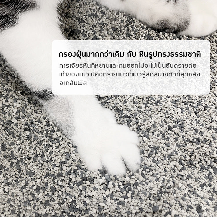 Pre Order-ทรายแมว ไต้หวัน ซัน วันเดอร์ Sun Wonder หินลาวา 1 ถุง / 5 ลิตร (4 กก.)