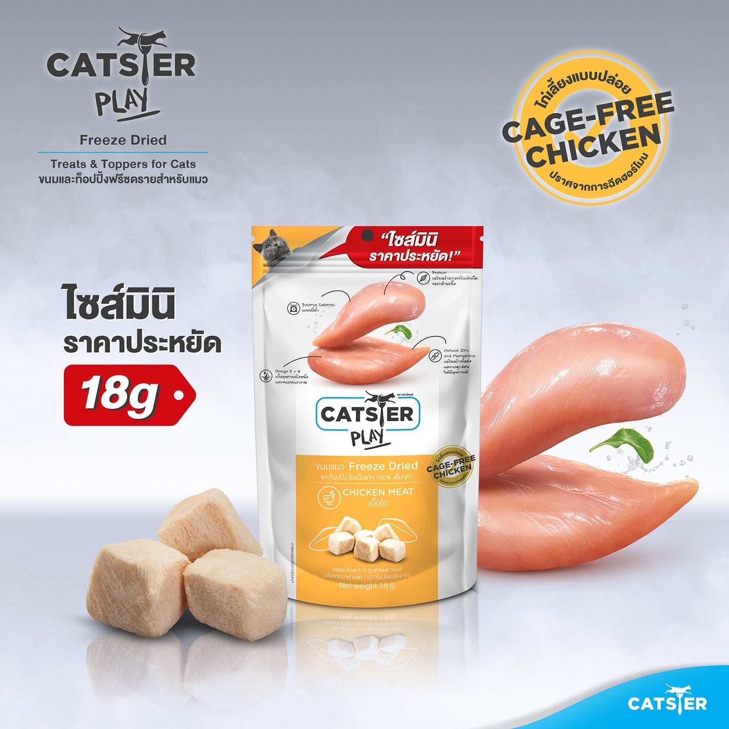 ชุดรักทุกวันขั้นพื้นฐาน｜กินดี ขับถ่ายดี หลับสบาย(แมว)