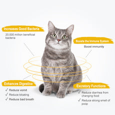 ชุดรักทุกวันขั้นพื้นฐาน｜กินดี ขับถ่ายดี หลับสบาย(แมว)