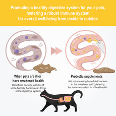 ชุดรักทุกวันขั้นพื้นฐาน｜กินดี ขับถ่ายดี หลับสบาย(แมว)