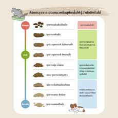 SUN WONDER โพรไบโอติกเสริมสมดุลระบบย่อยอาหาร สำหรับแมว(1 กล่อง/12 ซอง)