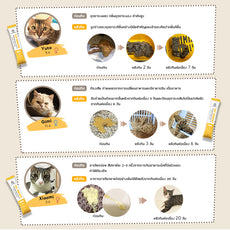 SUN WONDER โพรไบโอติกเสริมสมดุลระบบย่อยอาหาร สำหรับแมว(1 กล่อง/12 ซอง)