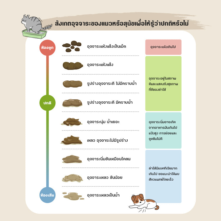 SUN WONDER โพรไบโอติกเสริมสมดุลระบบย่อยอาหาร สำหรับสุนัข(1 กล่อง/12 ซอง)
