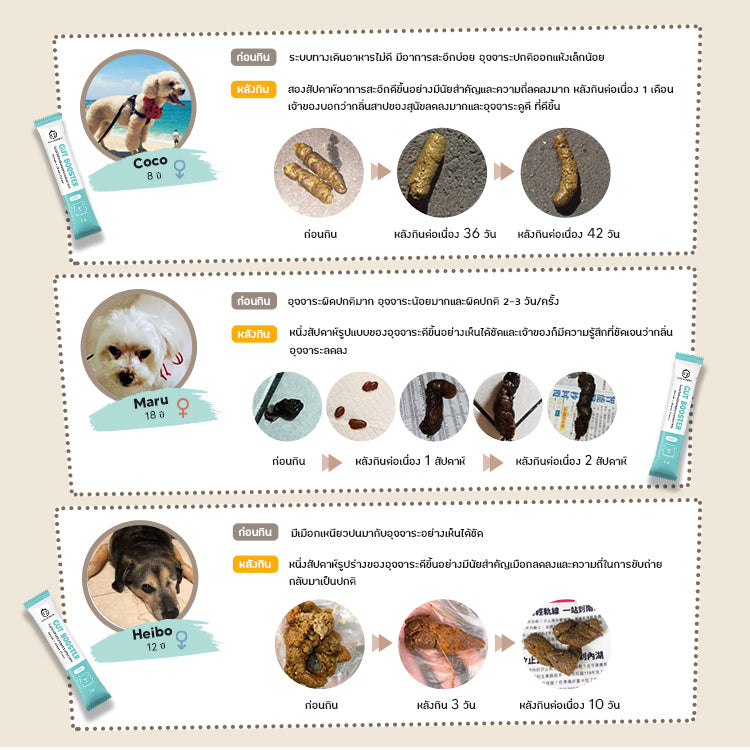 SUN WONDER โพรไบโอติกเสริมสมดุลระบบย่อยอาหาร สำหรับสุนัข(1 กล่อง/12 ซอง)