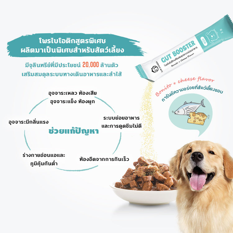 ชุดรักทุกวันขั้นพื้นฐาน｜กินดี ขับถ่ายดี หลับสบาย(สุนัข)