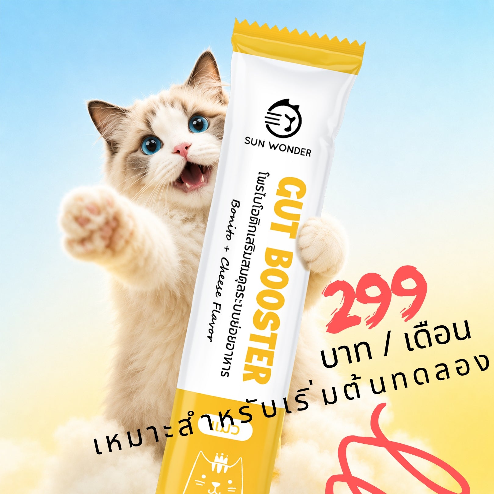 SUN WONDER โพรไบโอติกเสริมสมดุลระบบย่อยอาหาร สำหรับแมว – จัดส่งแบบสมาชิก