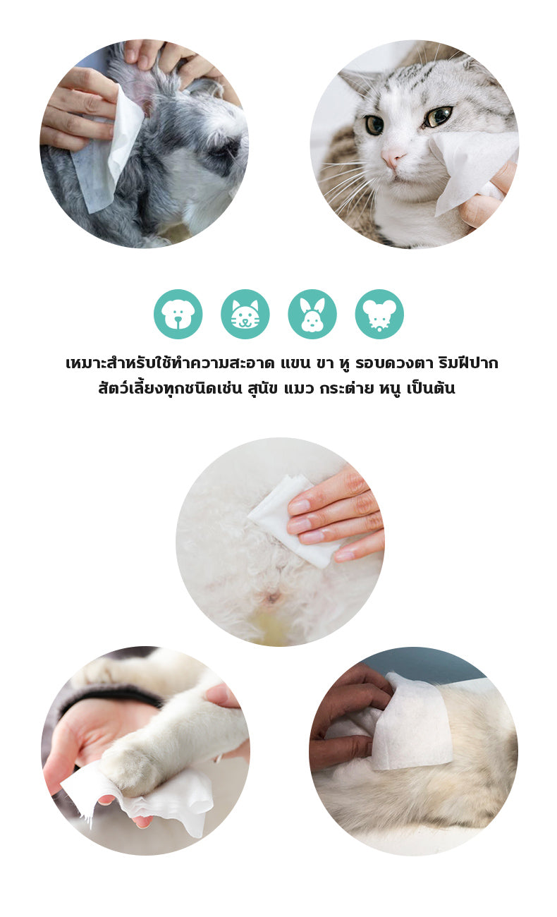 SUN WONDER ทิชชู่เปียกซันวันเดอร์ สำหรับสัตว์เลี้ยง