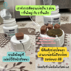 Sun Wonder Vitality Pill Pocket อาหารเสริมวิตามินช่วยป้อนยา บำรุงตับ