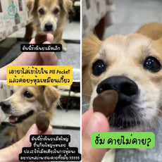 Sun Wonder Vitality Pill Pocket อาหารเสริมวิตามินช่วยป้อนยา บำรุงตับ